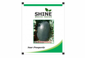 WaterMelon-Creta Ice Box(10 gm) 